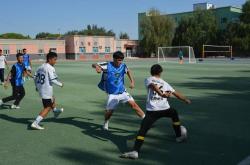 爱游戏体育网址-轮台县阳霞镇“白杏杯”足球赛开幕